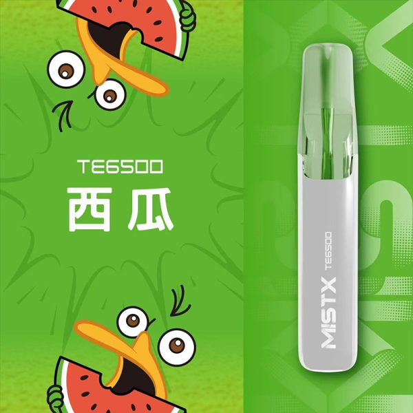 一次性電子煙｜MISTX 鴨嘴獸 TE6500 - 西瓜口味